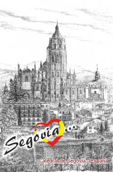 articulo209